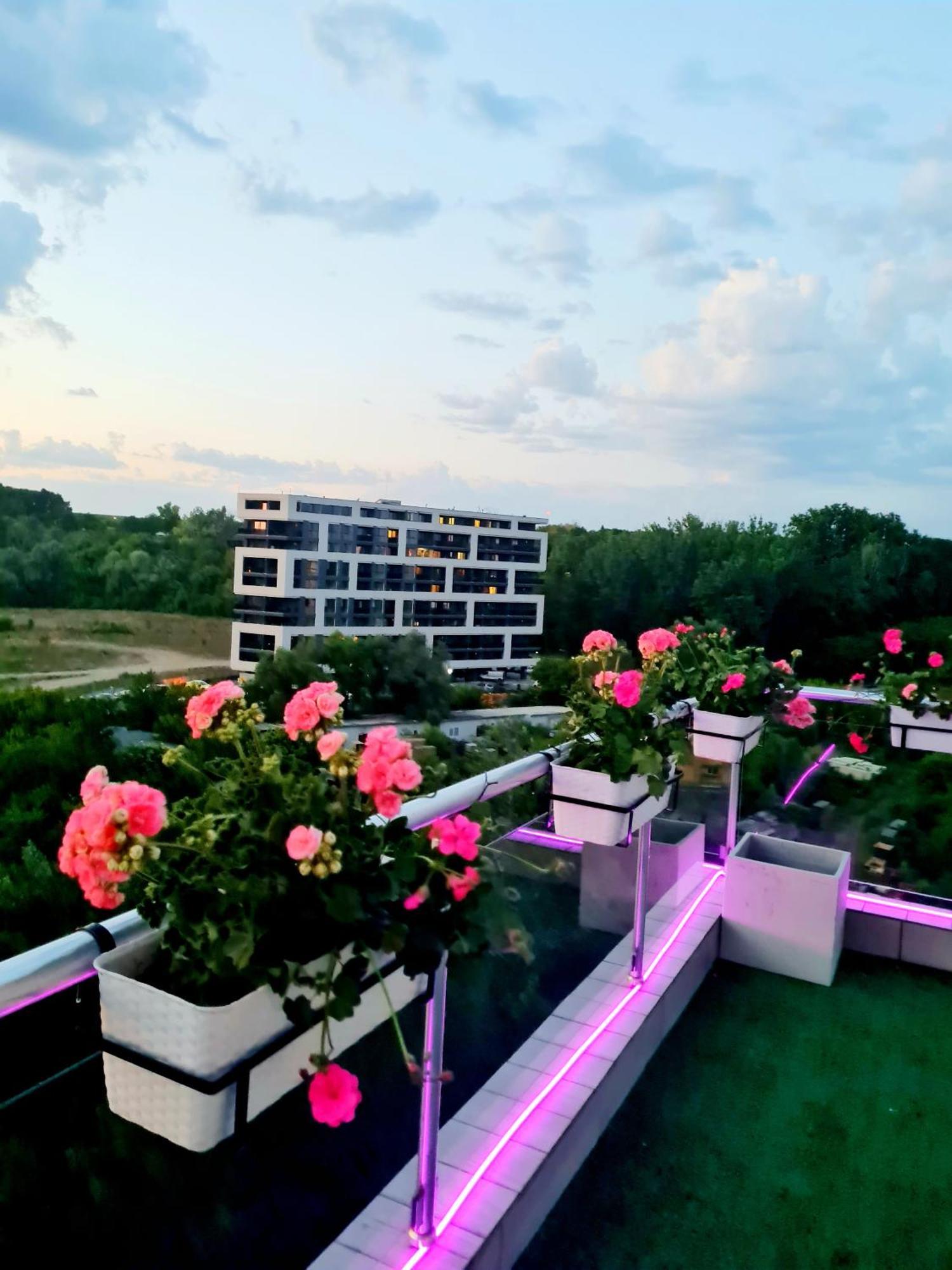 Apartamento Penthouse View Aeroport Iasi 2 Exterior foto